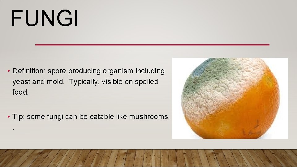 FUNGI • Definition: spore producing organism including yeast and mold. Typically, visible on spoiled