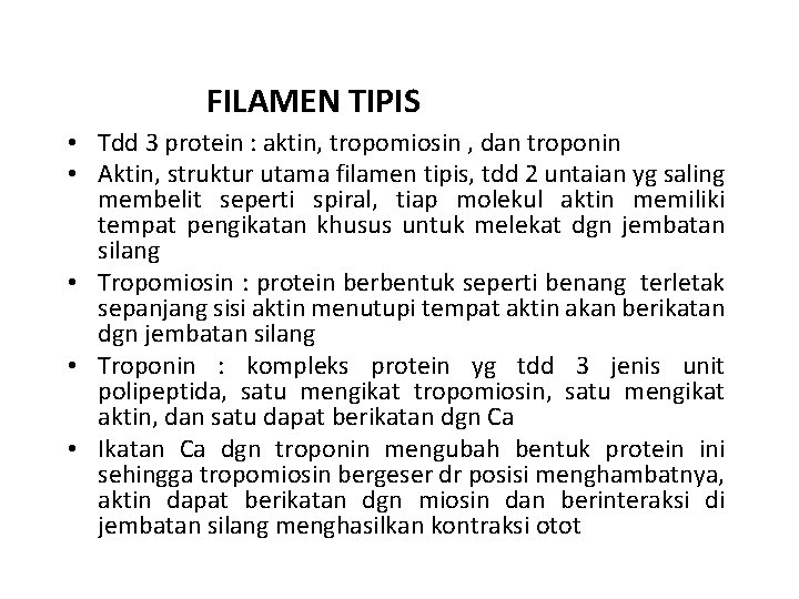 FILAMEN TIPIS • Tdd 3 protein : aktin, tropomiosin , dan troponin • Aktin,