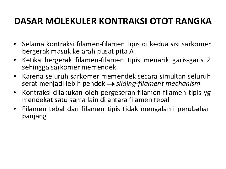 DASAR MOLEKULER KONTRAKSI OTOT RANGKA • Selama kontraksi filamen-filamen tipis di kedua sisi sarkomer