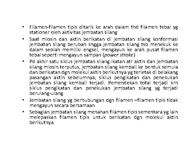  • Filamen-filamen tipis ditarik ke arah dalam thd filamen tebal yg stationer oleh