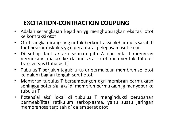 EXCITATION-CONTRACTION COUPLING • Adalah serangkaian kejadian yg menghubungkan eksitasi otot ke kontraksi otot •
