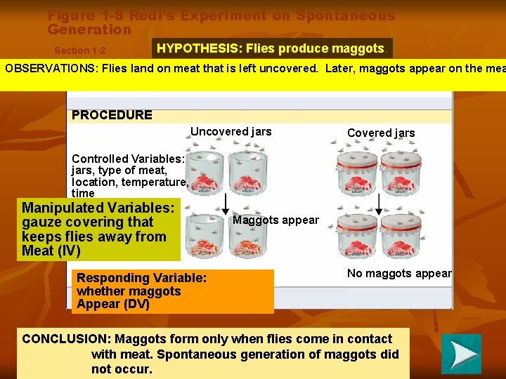 Figure 1 -8 Redi’s Experiment on Spontaneous Generation Section 1 -2 HYPOTHESIS: Flies produce