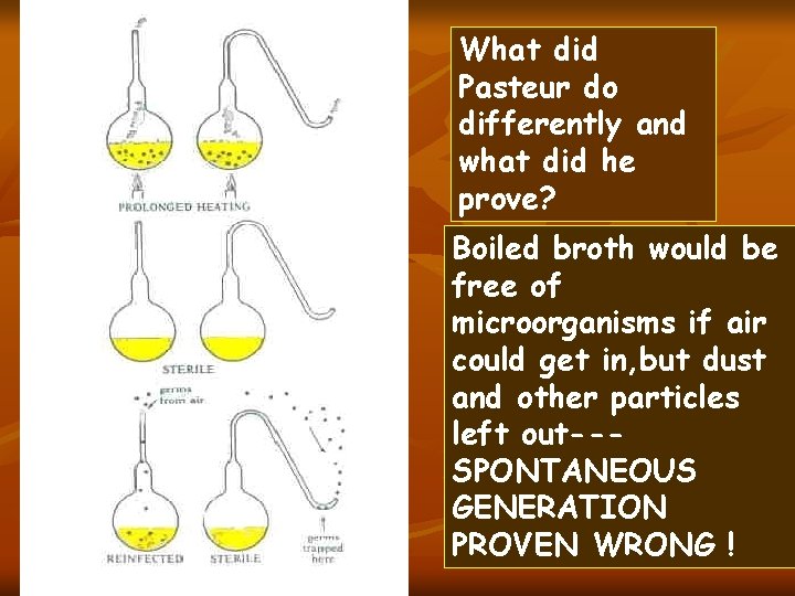 What did Pasteur do differently and what did he prove? Boiled broth would be