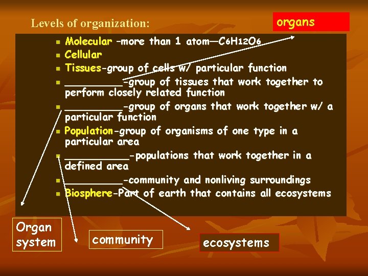 organs Levels of organization: n n n n n Organ system Molecular –more than