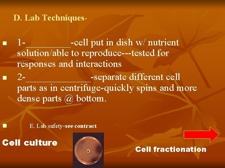 D. Lab Techniquesn n n 1 -_____-cell put in dish w/ nutrient solution/able to