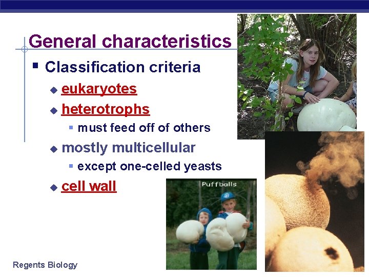 General characteristics § Classification criteria eukaryotes u heterotrophs u § must feed off of