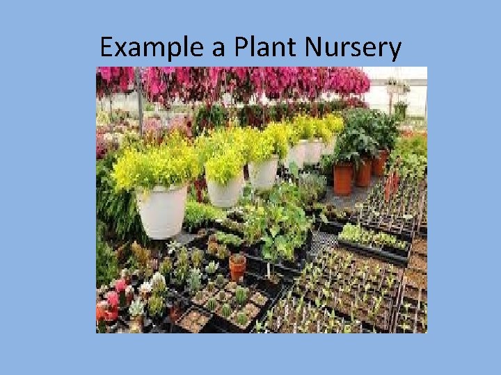 Example a Plant Nursery 
