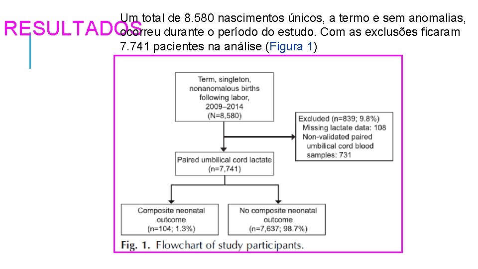 Um total de 8. 580 nascimentos únicos, a termo e sem anomalias, ocorreu durante