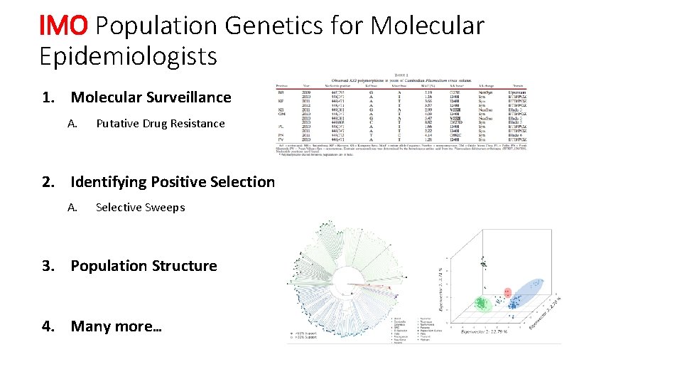 IMO Population Genetics for Molecular Epidemiologists 1. Molecular Surveillance A. Putative Drug Resistance 2. IMO Population Genetics for Molecular Epidemiologists 1. Molecular Surveillance A. Putative Drug Resistance 2.