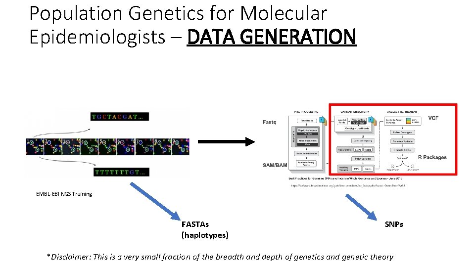Population Genetics for Molecular Epidemiologists – DATA GENERATION EMBL-EBI NGS Training FASTAs (haplotypes) SNPs Population Genetics for Molecular Epidemiologists – DATA GENERATION EMBL-EBI NGS Training FASTAs (haplotypes) SNPs