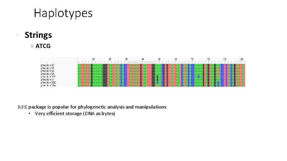 Haplotypes • Strings » ATCG APE package is popular for phylogenetic analysis and manipulations Haplotypes • Strings » ATCG APE package is popular for phylogenetic analysis and manipulations