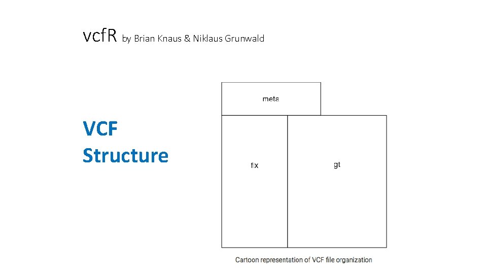 vcf. R by Brian Knaus & Niklaus Grunwald VCF Structure vcf. R by Brian Knaus & Niklaus Grunwald VCF Structure