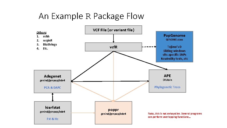 An Example R Package Flow Others: 1. rehh 2. seqin. R 3. Bio. Strings An Example R Package Flow Others: 1. rehh 2. seqin. R 3. Bio. Strings