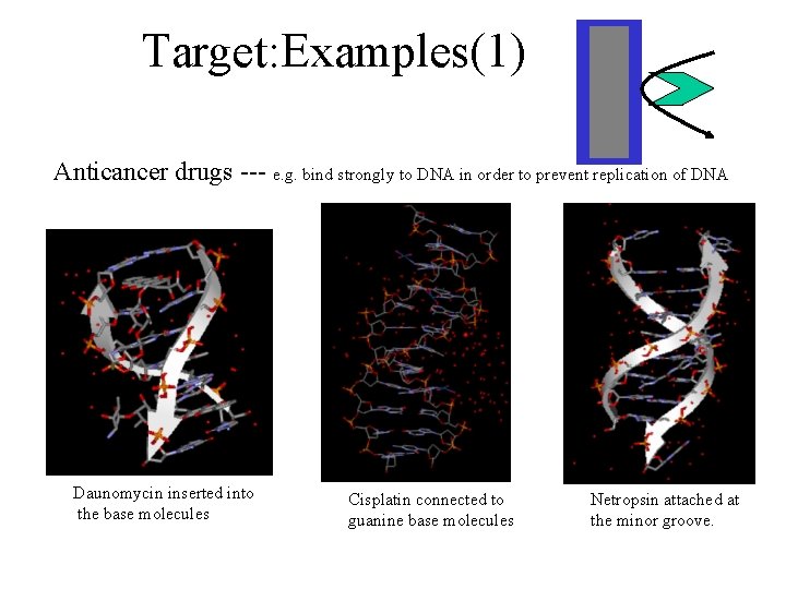 Target: Examples(1) Anticancer drugs --- e. g. bind strongly to DNA in order to