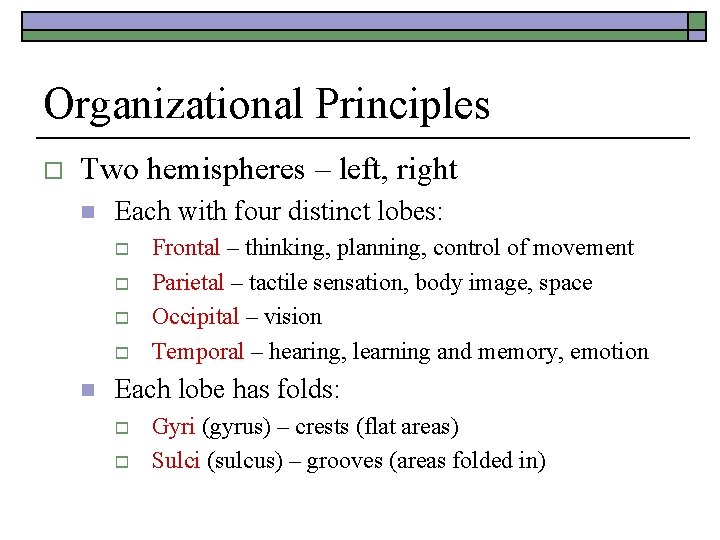 Organizational Principles o Two hemispheres – left, right n Each with four distinct lobes: Organizational Principles o Two hemispheres – left, right n Each with four distinct lobes: