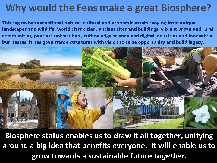 Why would the Fens make a great Biosphere? This region has exceptional natural, cultural