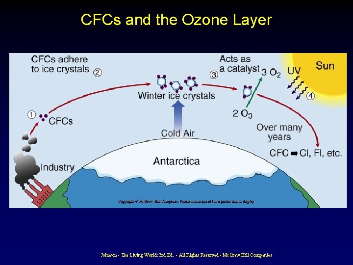 CFCs and the Ozone Layer Copyright © Mc. Graw-Hill Companies Permission required for reproduction