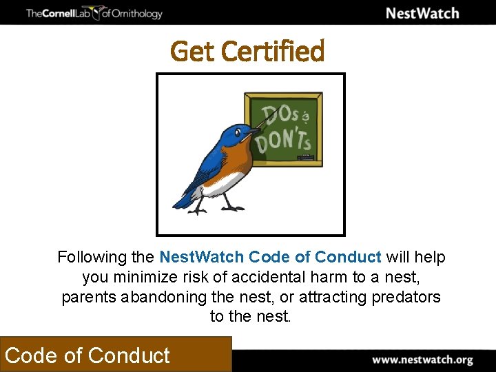 Get Certified Following the Nest. Watch Code of Conduct will help you minimize risk