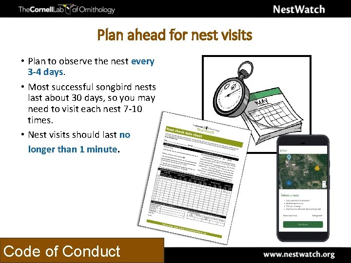 Plan ahead for nest visits • Plan to observe the nest every 3 -4
