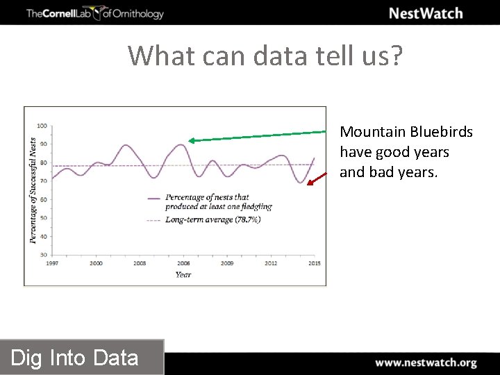 What can data tell us? Mountain Bluebirds have good years and bad years. Dig