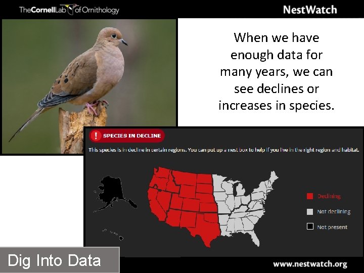 When we have enough data for many years, we can see declines or increases