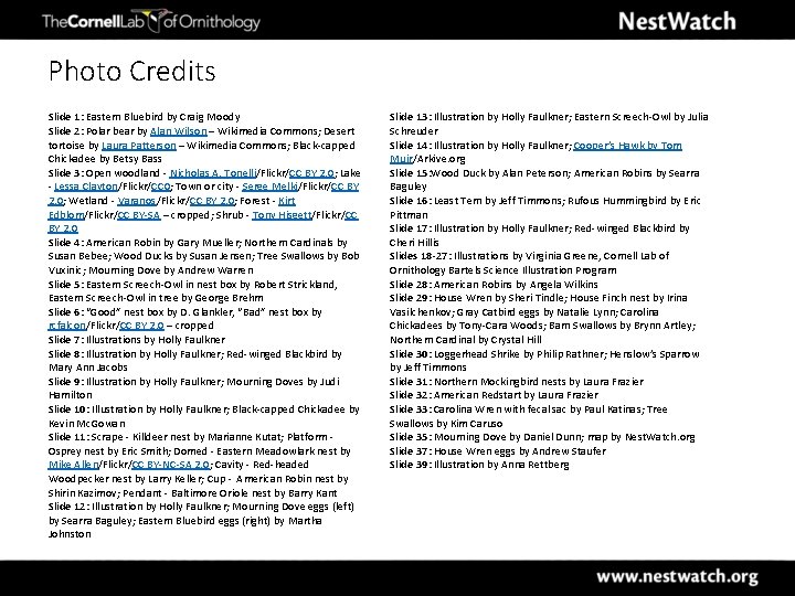 Photo Credits Slide 1: Eastern Bluebird by Craig Moody Slide 2: Polar bear by