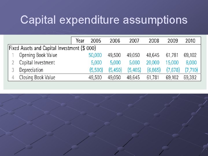 Capital expenditure assumptions 