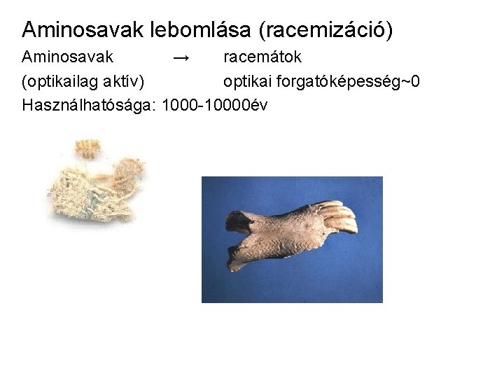 Aminosavak lebomlása (racemizáció) Aminosavak → racemátok (optikailag aktív) optikai forgatóképesség~0 Használhatósága: 1000 -10000év 