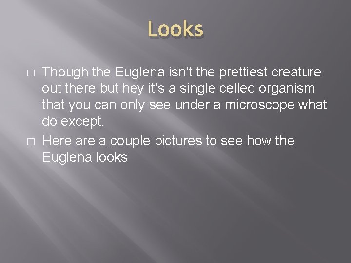 Looks � � Though the Euglena isn't the prettiest creature out there but hey