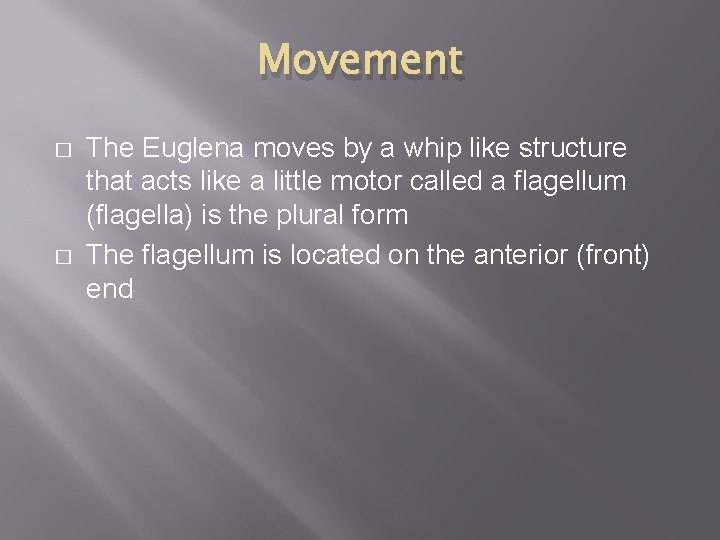 Movement � � The Euglena moves by a whip like structure that acts like