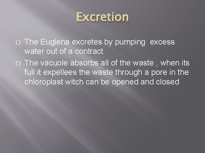 Excretion � � The Euglena excretes by pumping excess water out of a contract