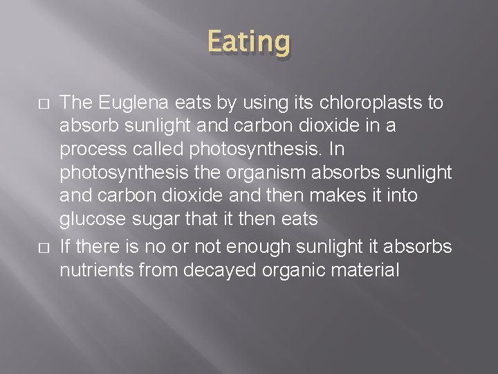 Eating � � The Euglena eats by using its chloroplasts to absorb sunlight and
