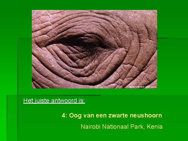 Het juiste antwoord is: 4: Oog van een zwarte neushoorn Nairobi Nationaal Park, Kenia