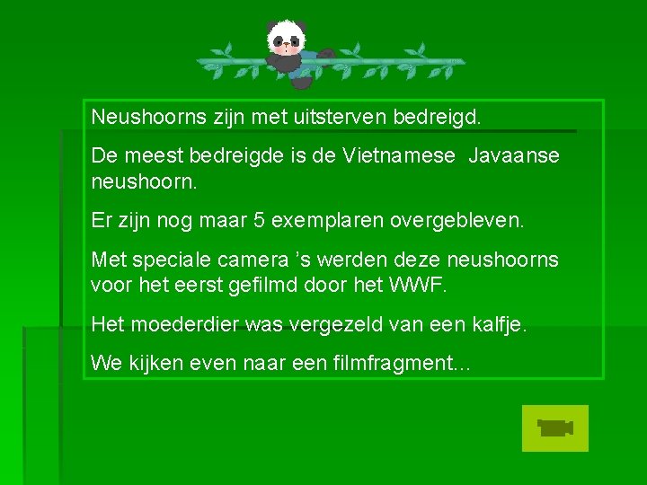 Neushoorns zijn met uitsterven bedreigd. De meest bedreigde is de Vietnamese Javaanse neushoorn. Er