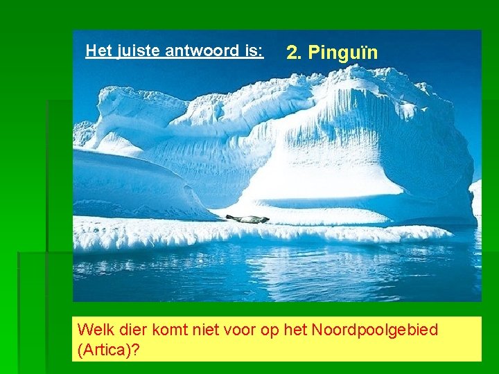 Het juiste antwoord is: 2. Pinguïn Welk dier komt niet voor op het Noordpoolgebied