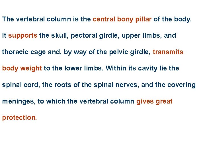 The vertebral column is the central bony pillar of the body. It supports the