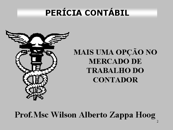 PERÍCIA CONTÁBIL MAIS UMA OPÇÃO NO MERCADO DE TRABALHO DO CONTADOR Prof. Msc Wilson