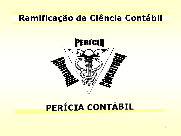 Ramificação da Ciência Contábil PERÍCIA CONTÁBIL 3 