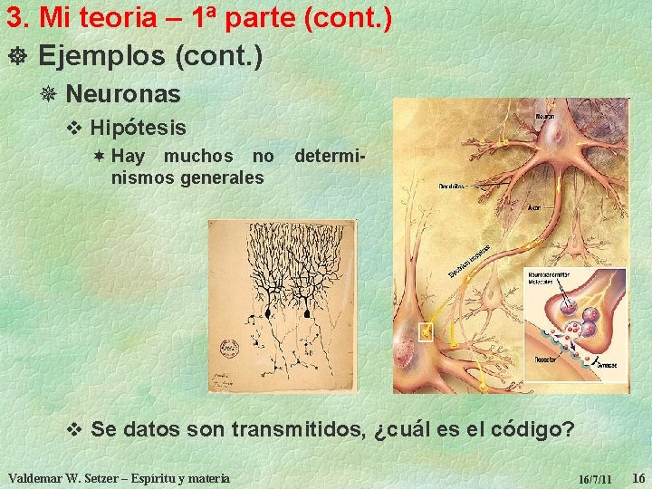 3. Mi teoria – 1ª parte (cont. ) ] Ejemplos (cont. ) ¯ Neuronas