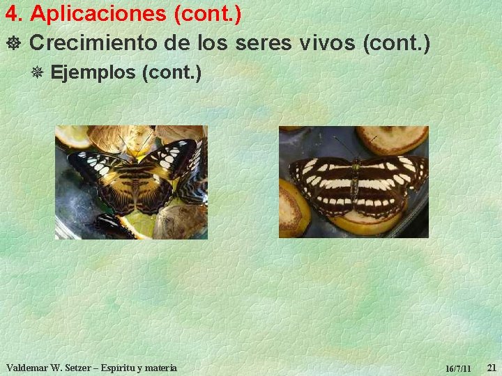 4. Aplicaciones (cont. ) ] Crecimiento de los seres vivos (cont. ) ¯ Ejemplos