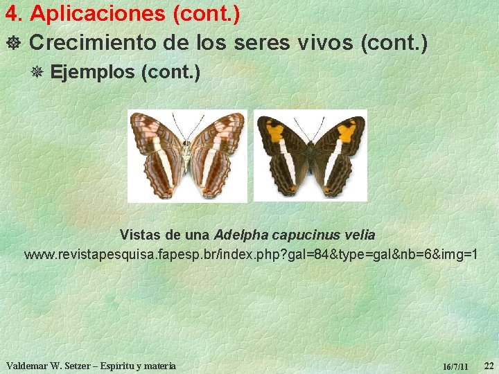 4. Aplicaciones (cont. ) ] Crecimiento de los seres vivos (cont. ) ¯ Ejemplos