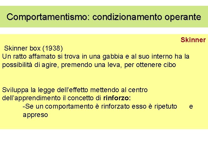 Comportamentismo: condizionamento operante Skinner box (1938) Un ratto affamato si trova in una gabbia