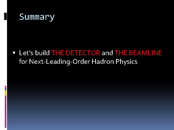 Summary Let’s build THE DETECTOR and THE BEAMLINE for Next-Leading-Order Hadron Physics 