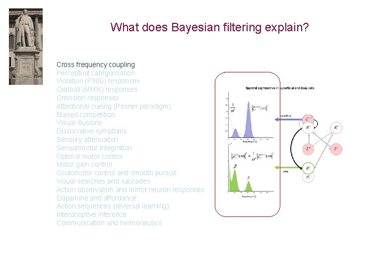 What does Bayesian filtering explain? Cross frequency coupling Perceptual categorisation Violation (P 300) responses
