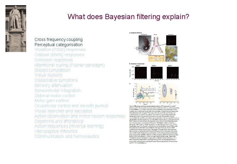 What does Bayesian filtering explain? Cross frequency coupling Perceptual categorisation Violation (P 300) responses