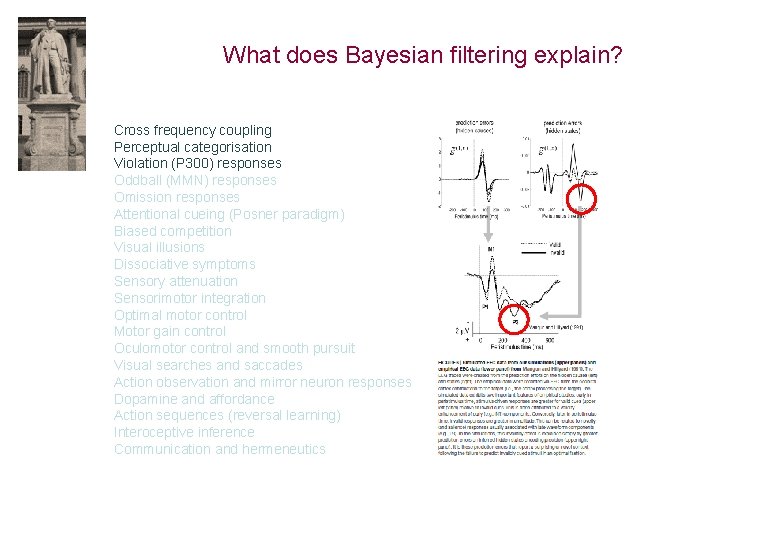 What does Bayesian filtering explain? Cross frequency coupling Perceptual categorisation Violation (P 300) responses