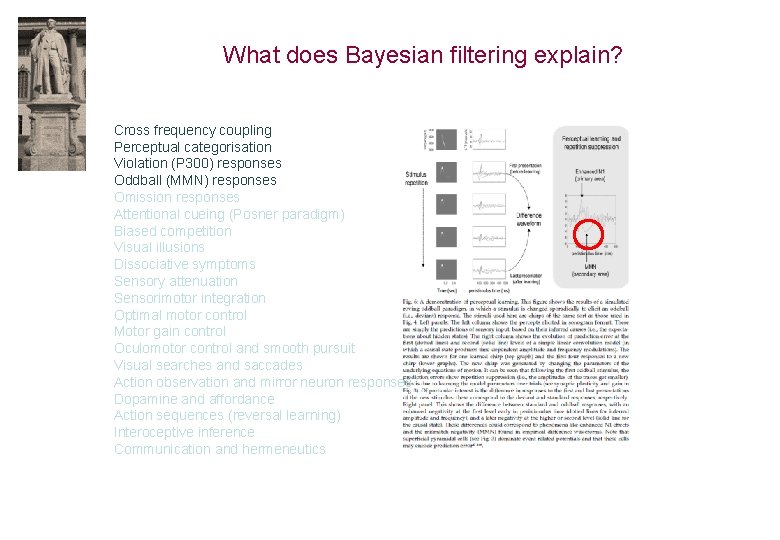 What does Bayesian filtering explain? Cross frequency coupling Perceptual categorisation Violation (P 300) responses