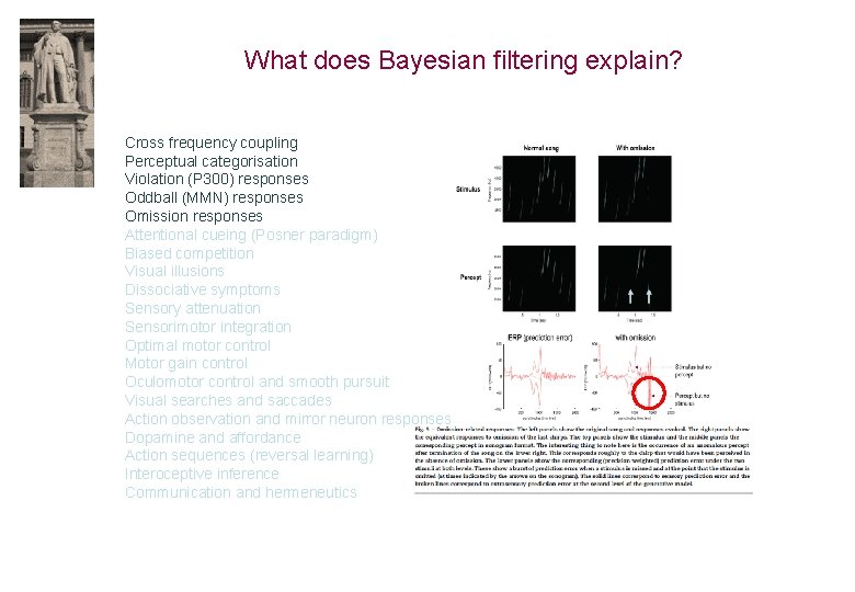 What does Bayesian filtering explain? Cross frequency coupling Perceptual categorisation Violation (P 300) responses