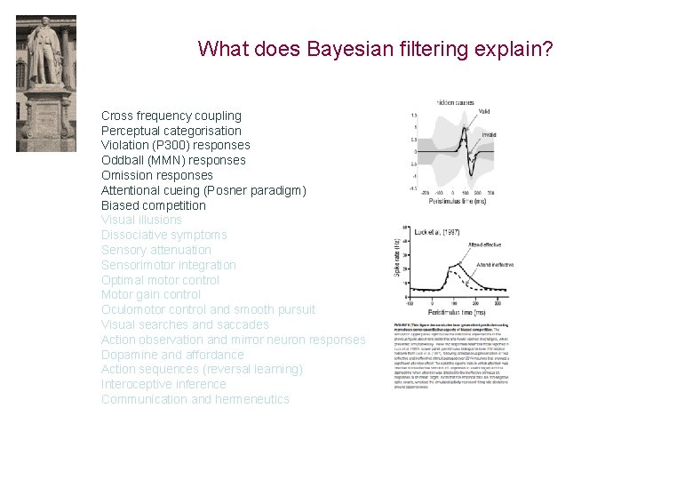 What does Bayesian filtering explain? Cross frequency coupling Perceptual categorisation Violation (P 300) responses