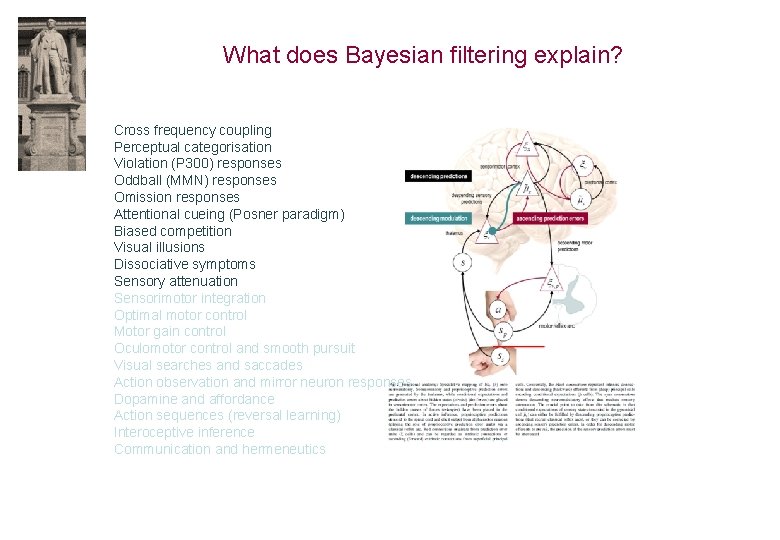 What does Bayesian filtering explain? Cross frequency coupling Perceptual categorisation Violation (P 300) responses